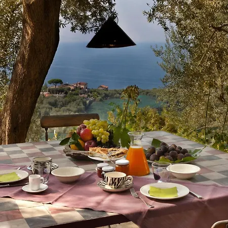 House With Sea View In Capo Di